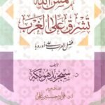 شمس الله تشرق على الغرب : فضل العرب على أوربا