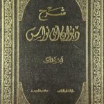شرح ديوان أبي نواس (مجلدين)