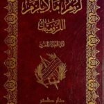 ديوان لزوم مالا يلزم : اللزوميات (جزئين)