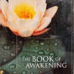 The Book Of Awakening