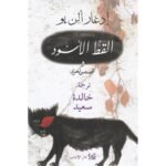 القط الأسود : وقصص أخرى