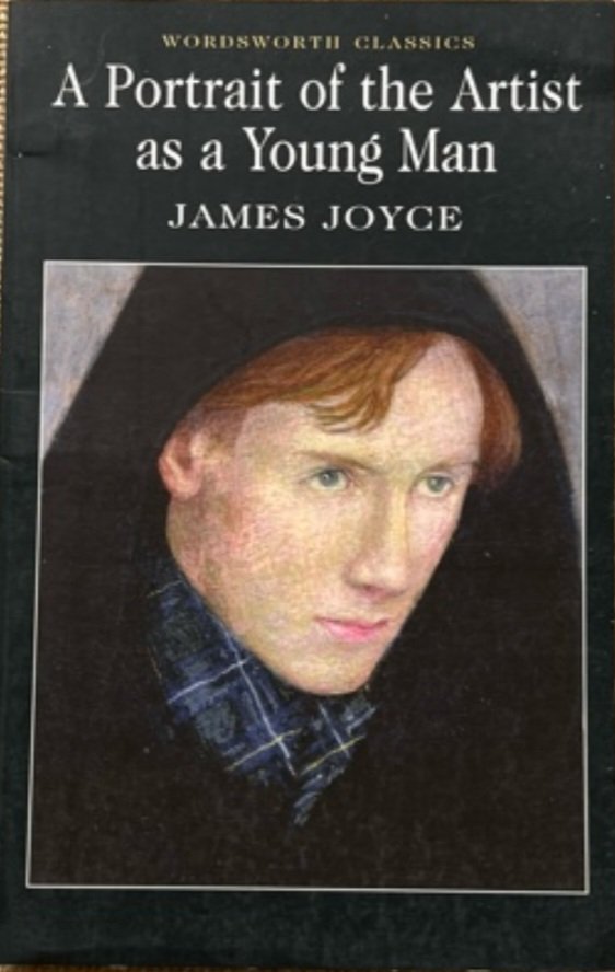 Screenshot_20260618_134909_Google A Portrait of the Artist as a young man - الصورة 1