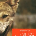 طعم الذئب
